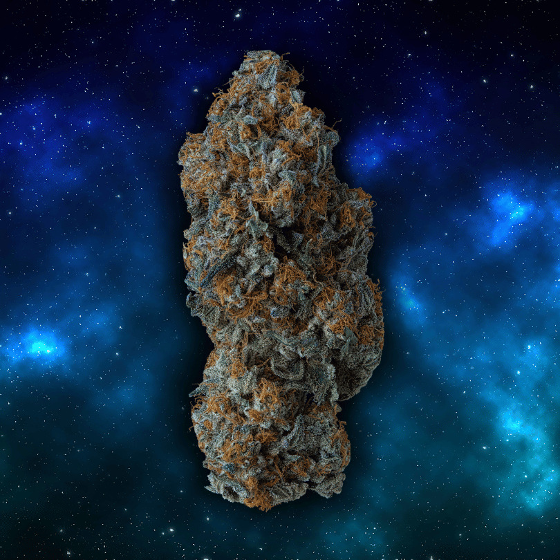Anti Gravity bud