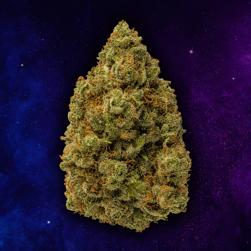 Choo Choo Train bud