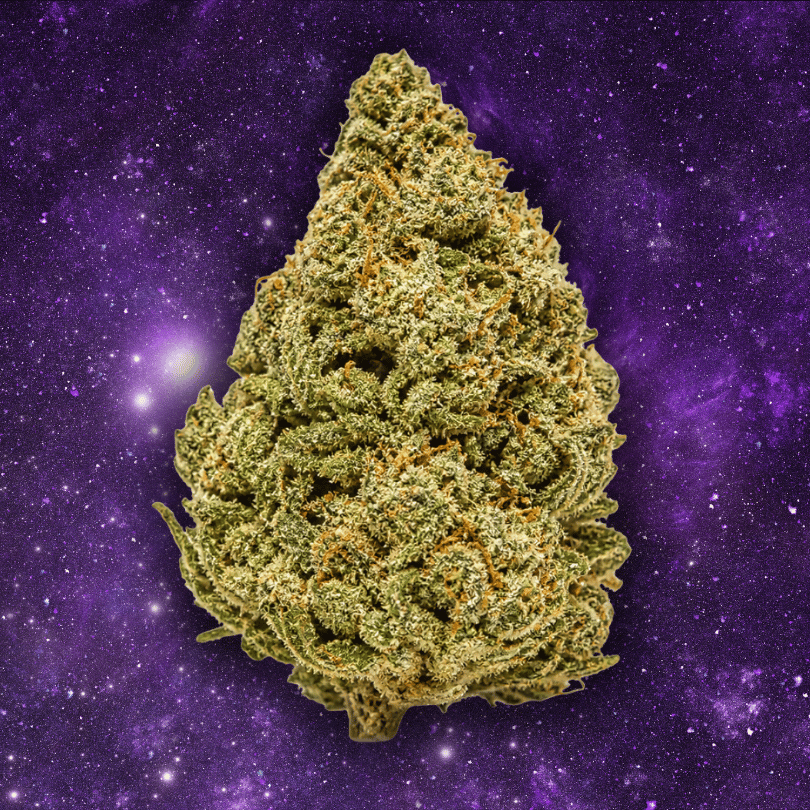 Kushzilla bud