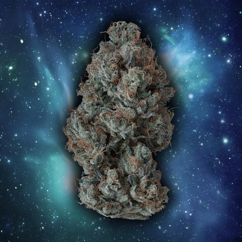 Maui Wowie bud