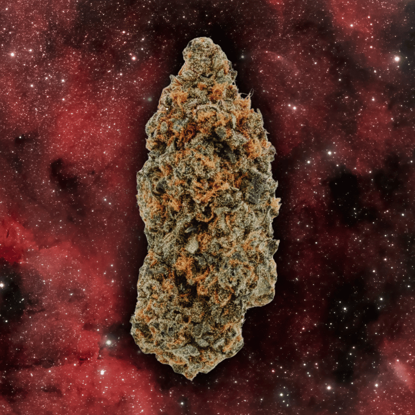 WTF Strawberry bud