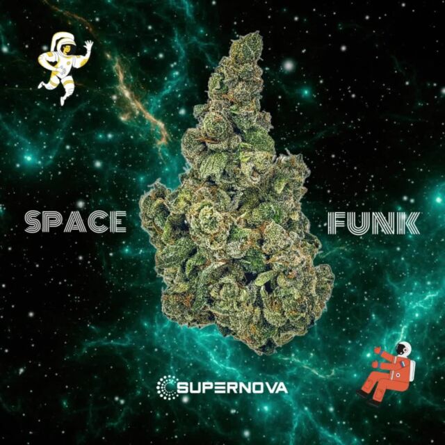 Space Funk Strain ⇒ Lineage, Terpenes, Aroma ⇒ Supernova Farms Inc.