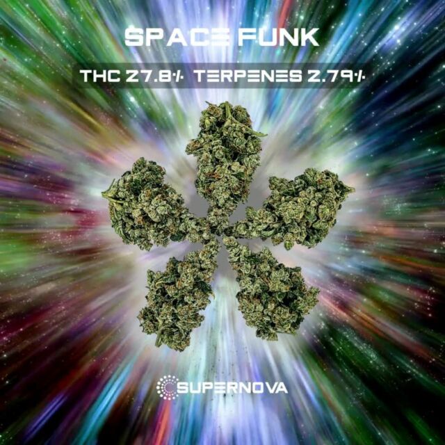 Space Funk Strain ⇒ Lineage, Terpenes, Aroma ⇒ Supernova Farms Inc.